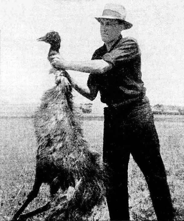 An Australian soldier with a bird killed in the Great Emu War