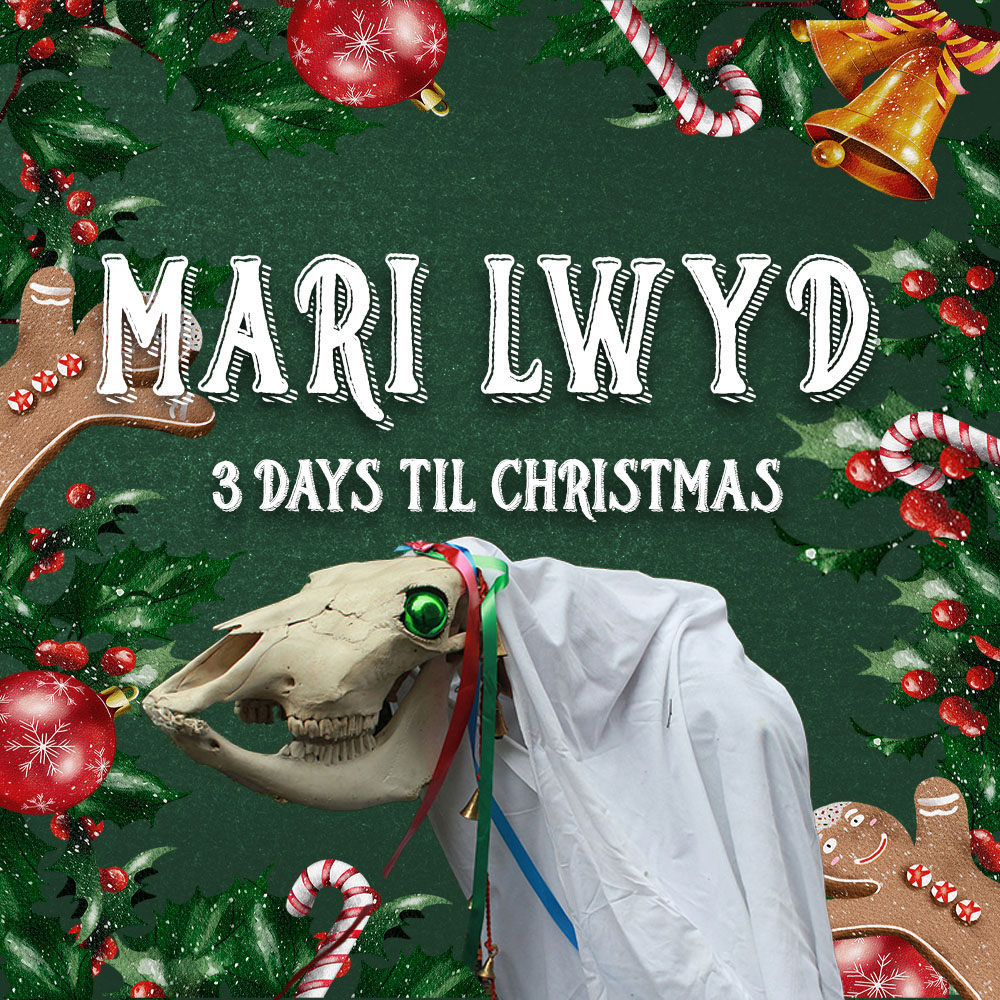 A Mari Lwyd horse skull in front of a green background with christmas decor and the text, 'Mari Lwyd'