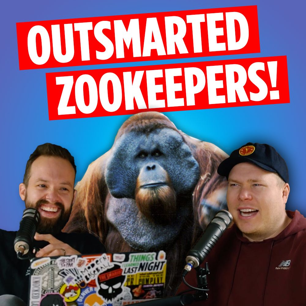 ken allen the orangutan standing behind comedy podcasters jaron myers and tim stone with a banner that reads 'outsmarted zookeepers'